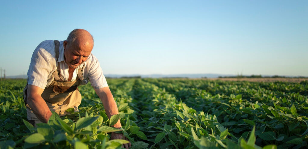 agricultura